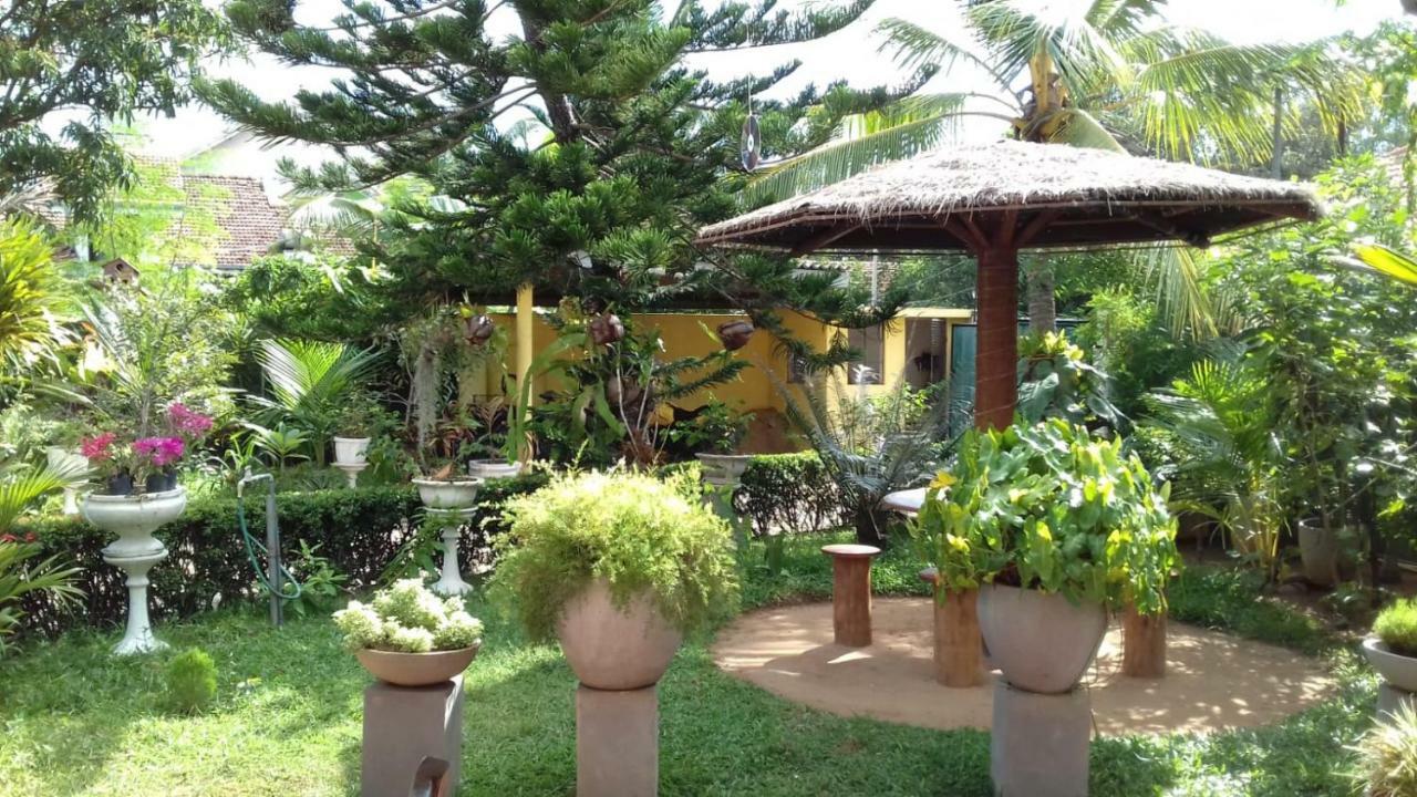Embiente Guest House Negombo Ngoại thất bức ảnh